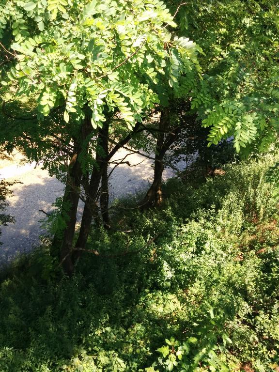 Casetta Next To The Creek Dino Buzzati Belluno Rum bild